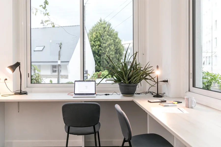 Networking et coliving : développez votre réseau