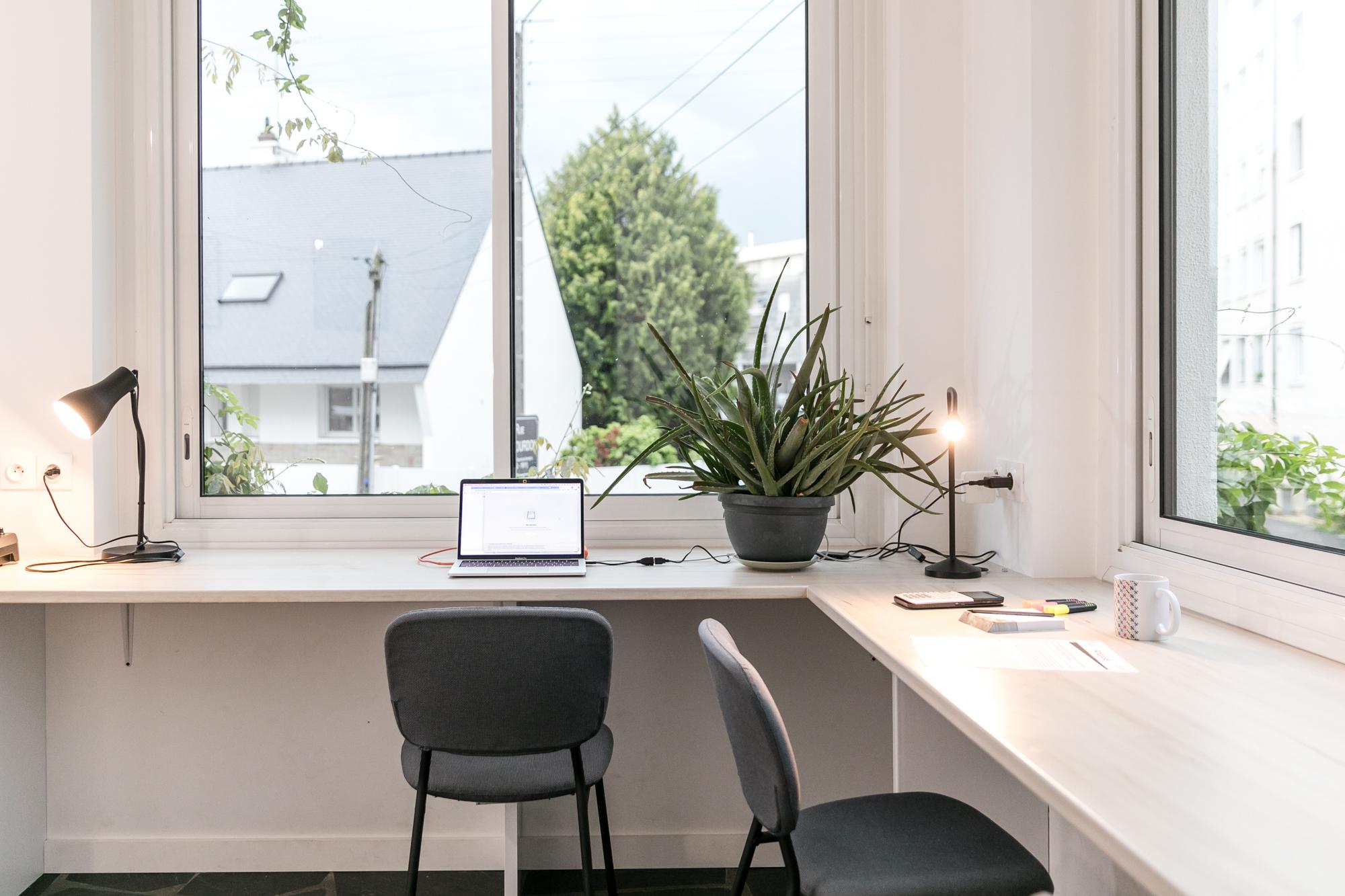 Coliving à Rennes et Angers